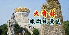 新草逼视频网站中国浙江-绍兴大香林旅游风景区